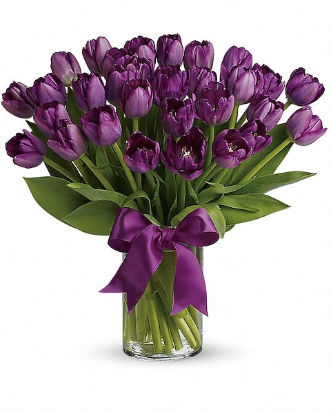 PASSIONATE PURPLE TULIPS