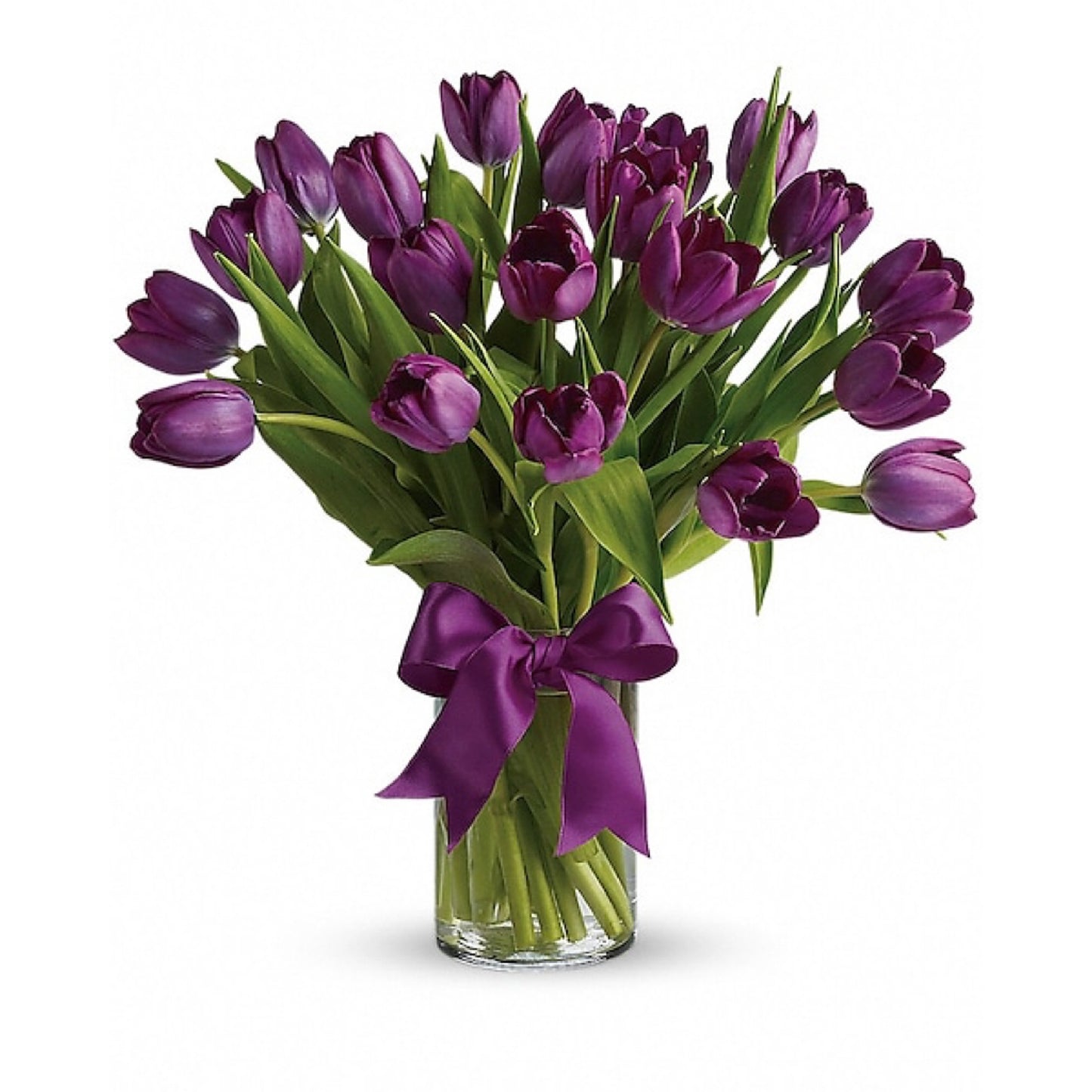 PASSIONATE PURPLE TULIPS
