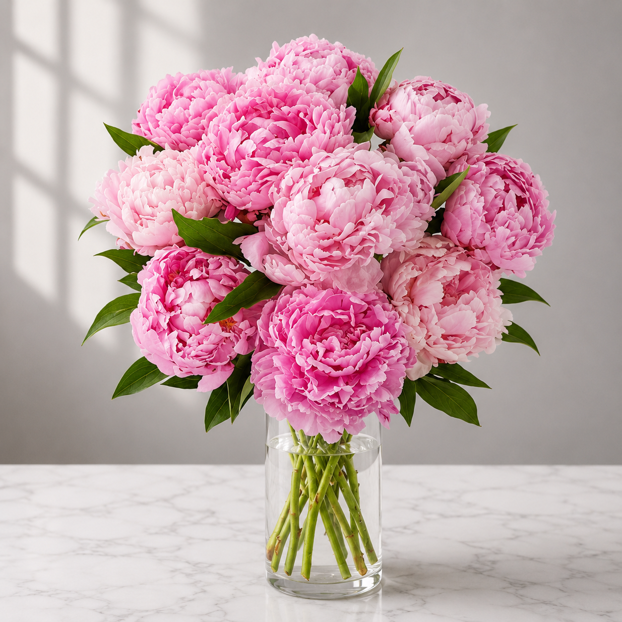 Blushing Peony Garden