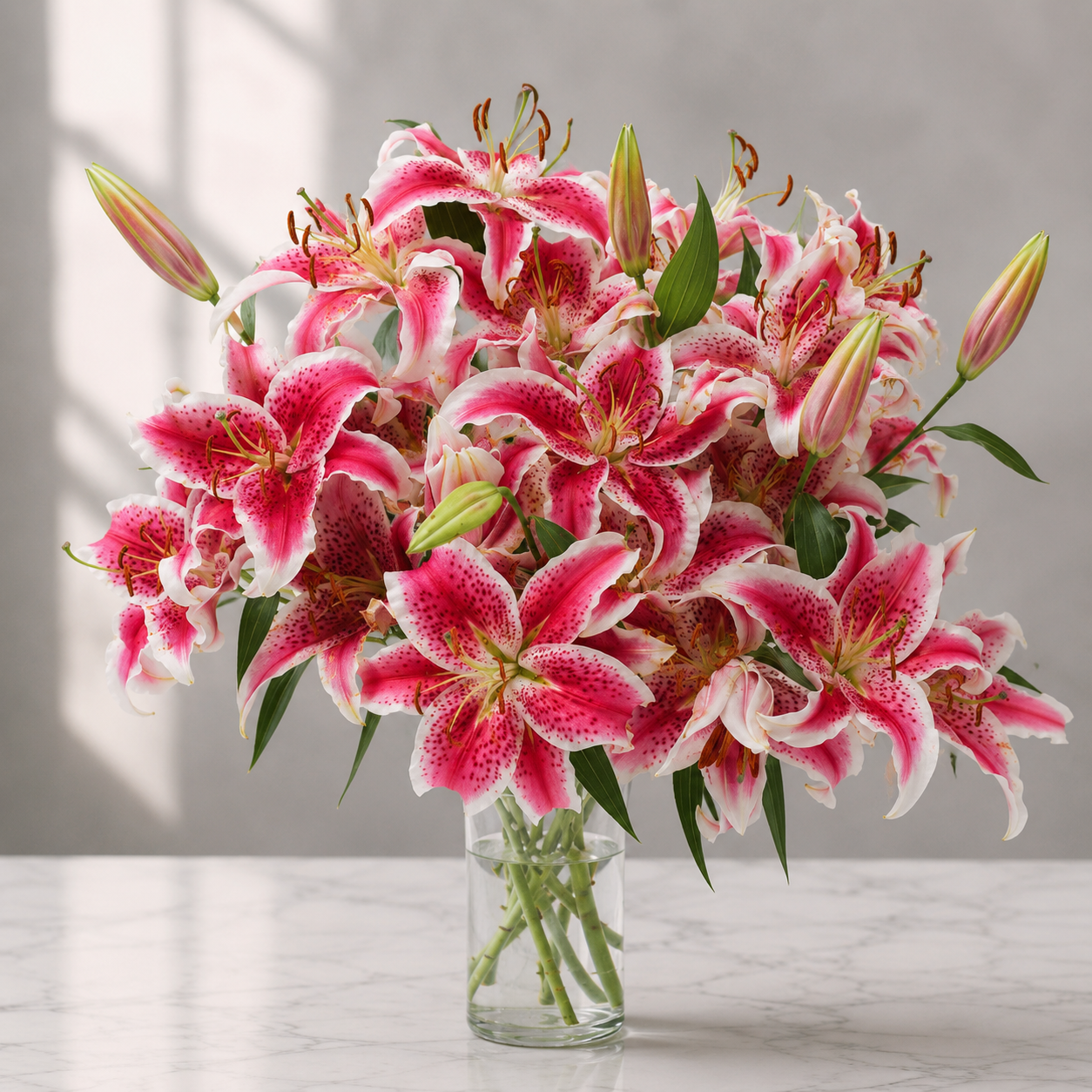Stargazer Lily Garden