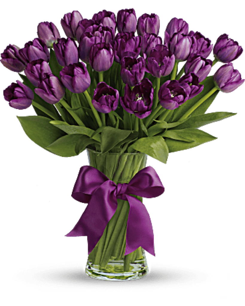 PASSIONATE PURPLE TULIPS