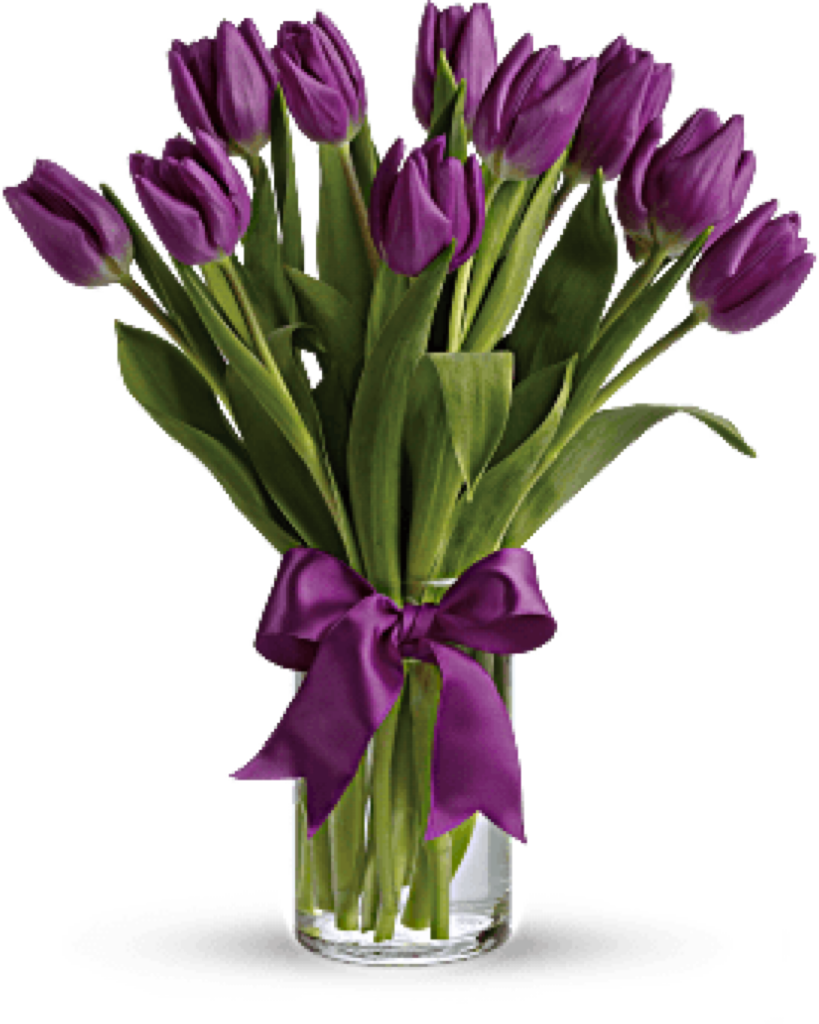 PASSIONATE PURPLE TULIPS