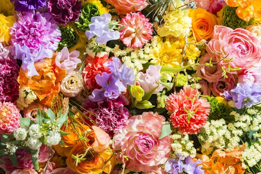 All Flowers