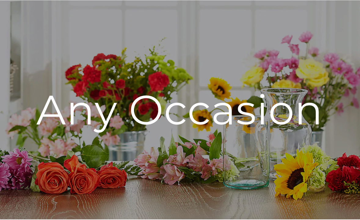 Any Occasion