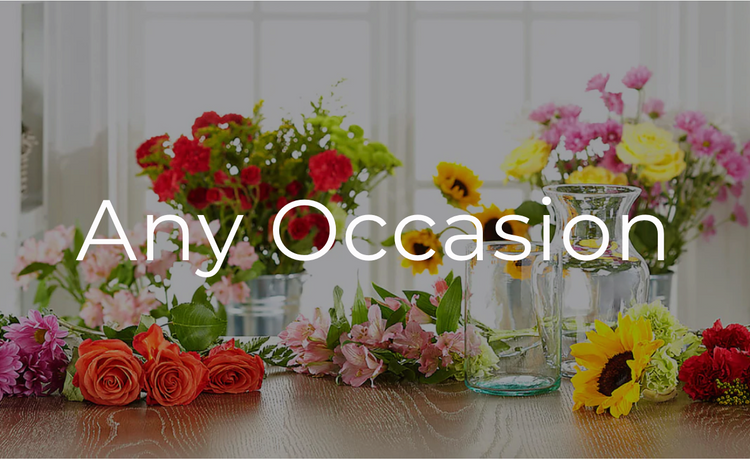 Any Occasion