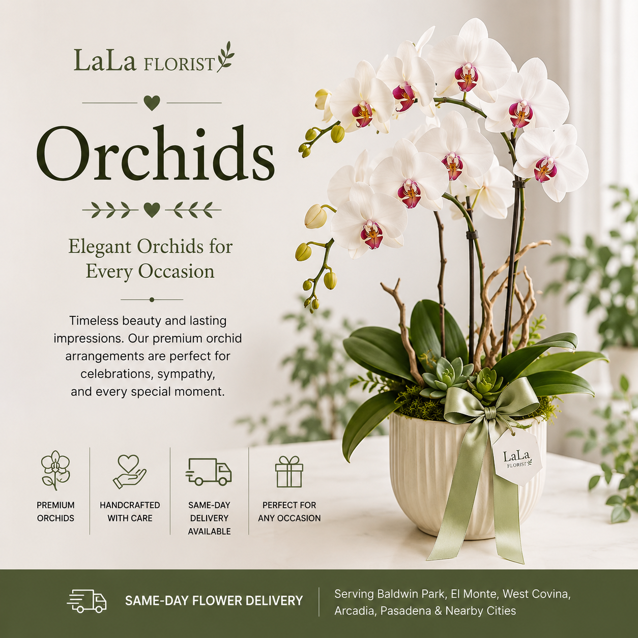 Orchids