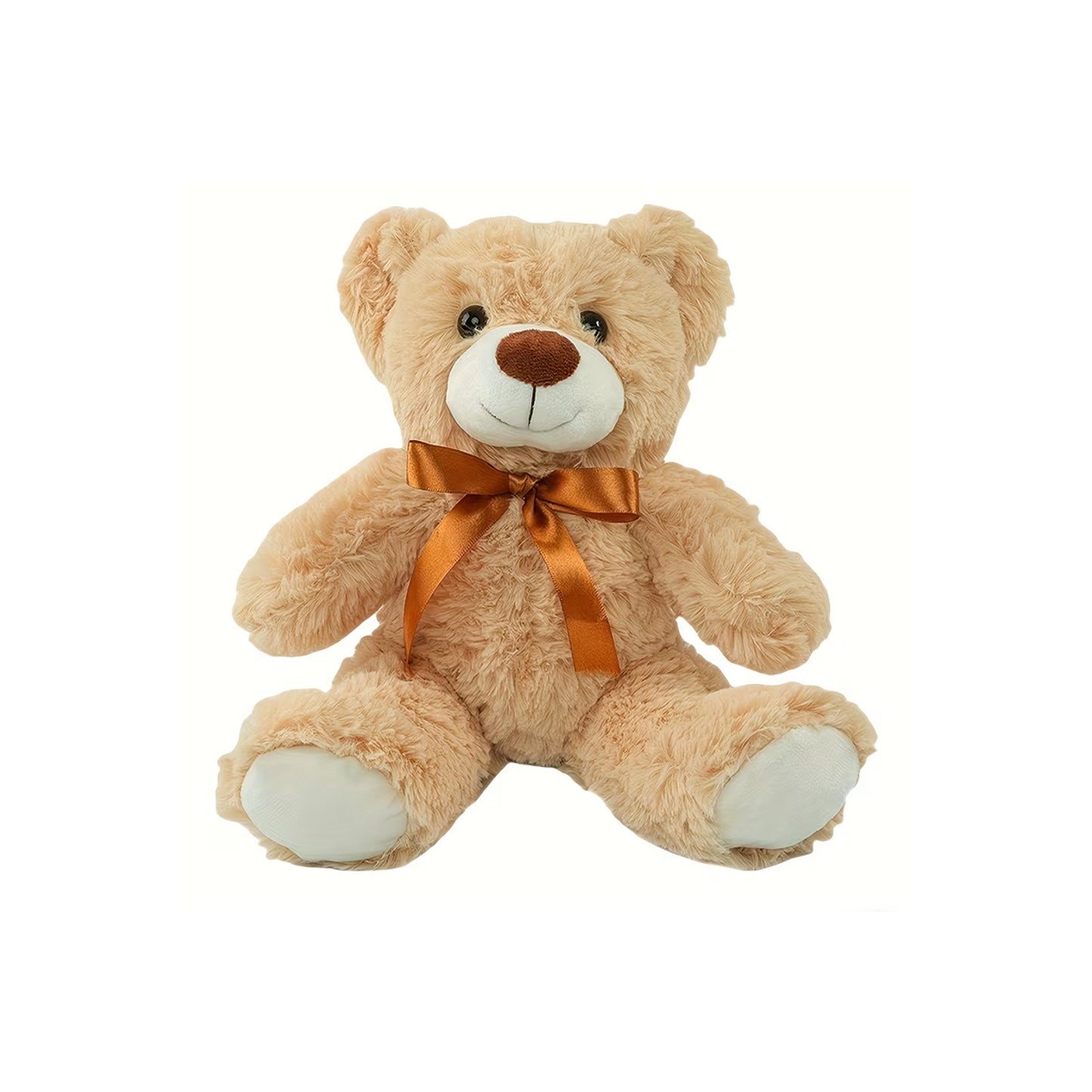 Teddy Bear – Color May Vary