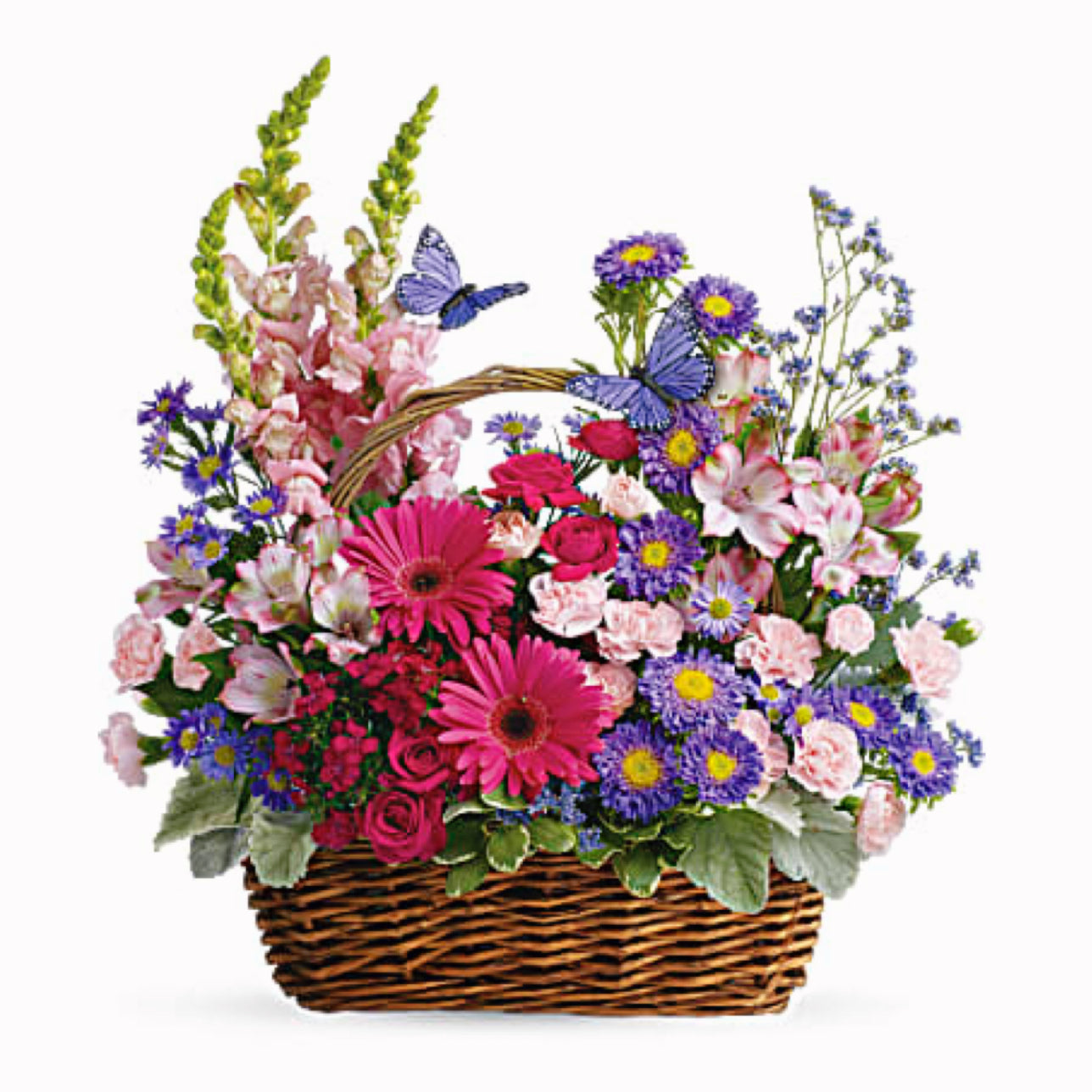 Country Garden Basket Premium