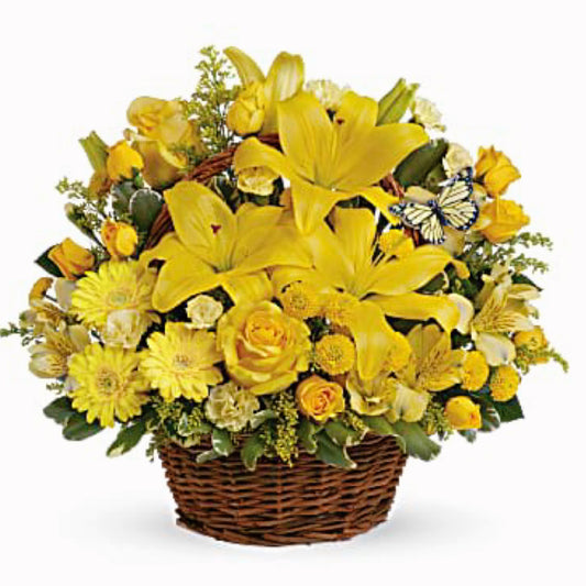 Sunshine Garden Basket premium