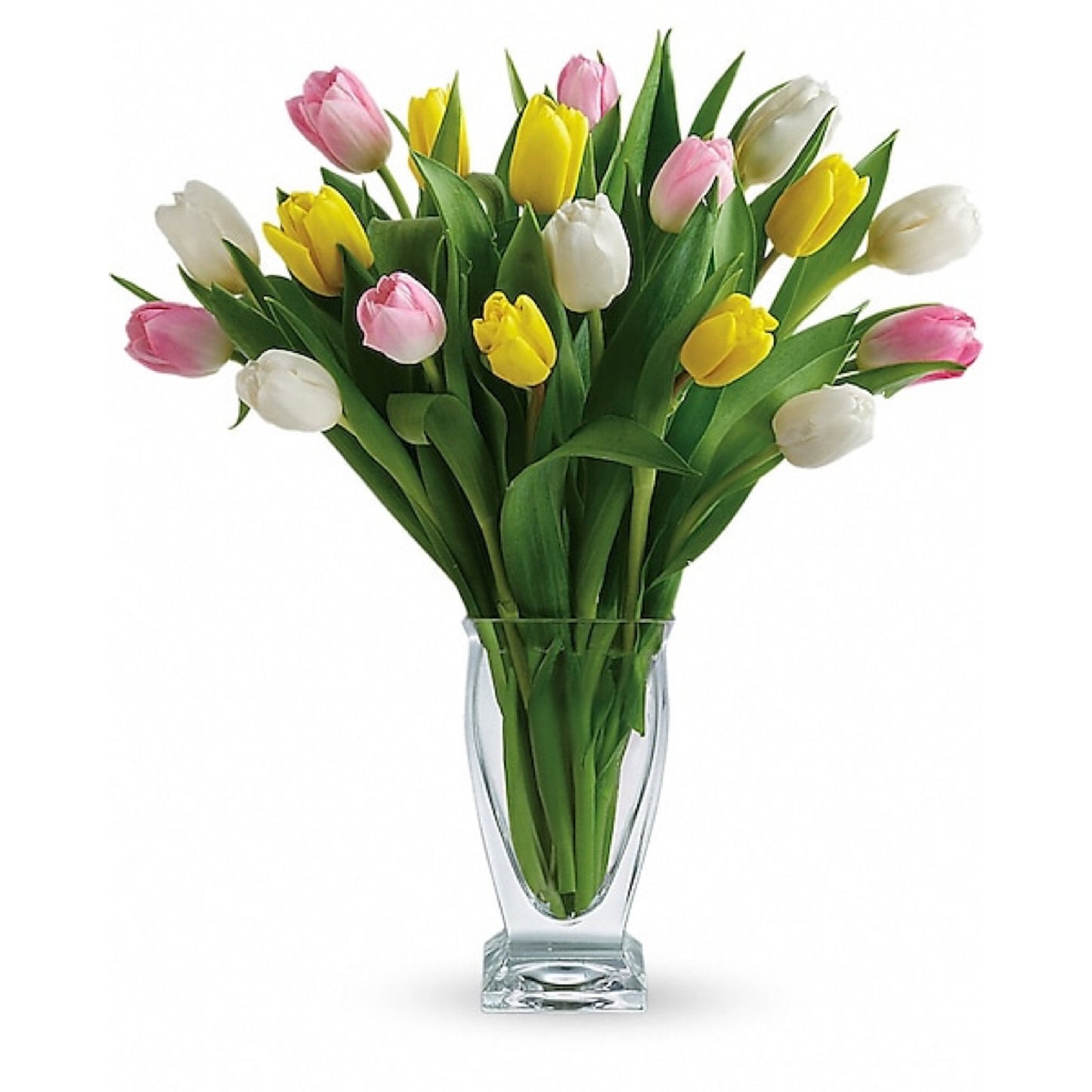 TULIP TREASURE