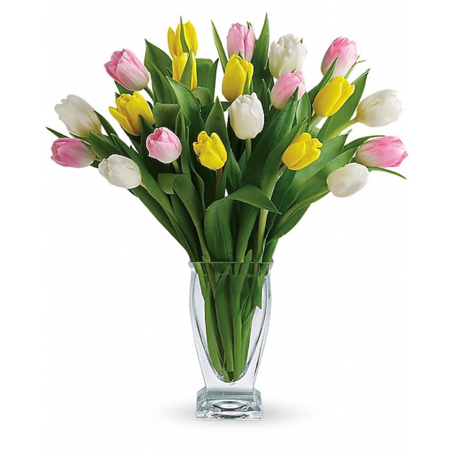 TULIP TREASURE