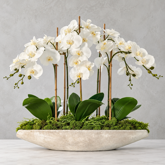 Ivory Orchid Elegance