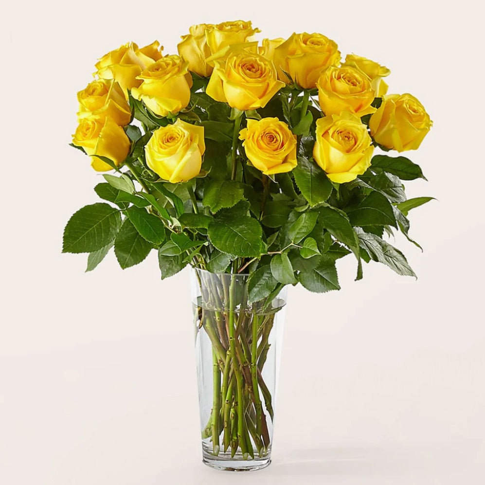 Long Stem Yellow Rose Bouquet