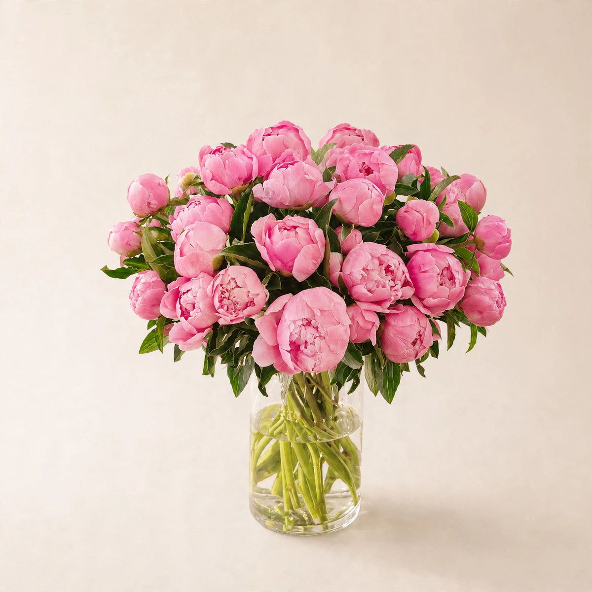 Blush Pink Peonies — blush pink peonies in a clear glass vase by LaLa Florist in Baldwin Park